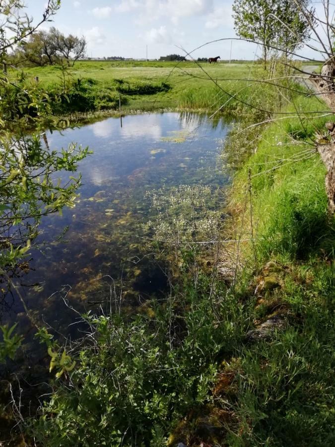 Les Pensions Du Joslin Bouin  Eksteriør bilde